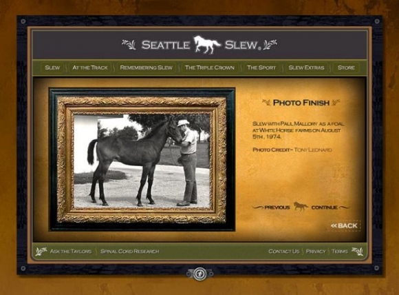 Showcase image